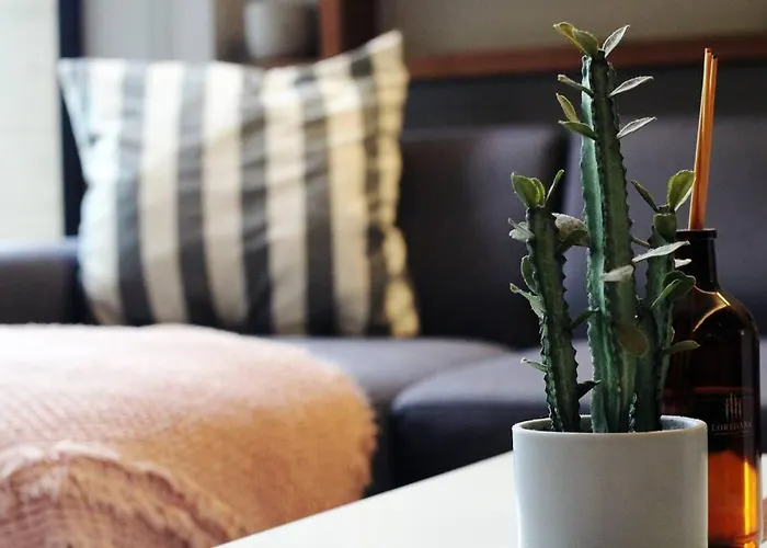 Design In Roma Norte Perfect For Remote Work * Mexico City