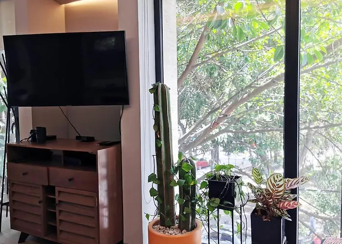 Design In Roma Norte Perfect For Remote Work *